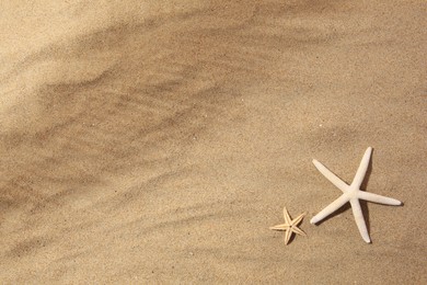 Photo of Beautiful sea stars on sand, flat lay. Space for text