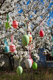 Beautifully painted Easter eggs hanging on blooming cherry tree outdoors