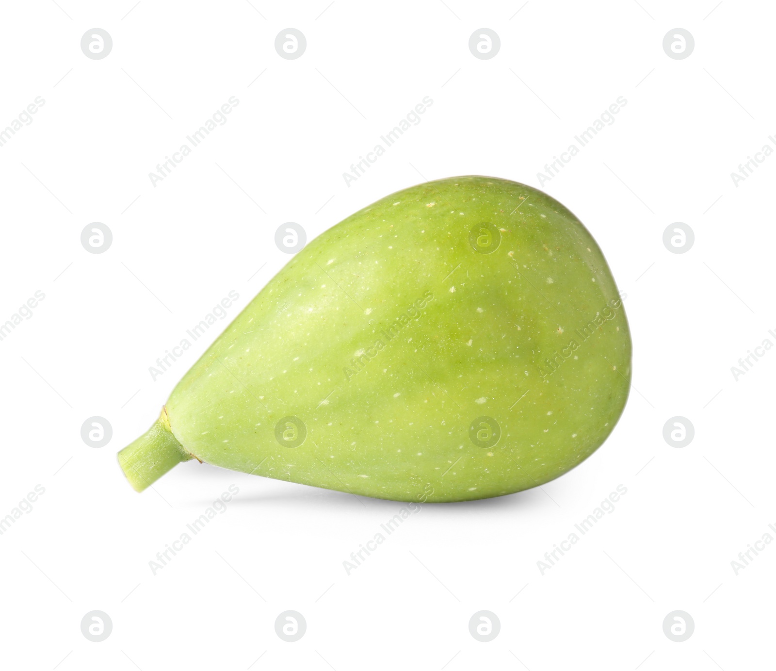 Photo of One fresh green fig isolated on white