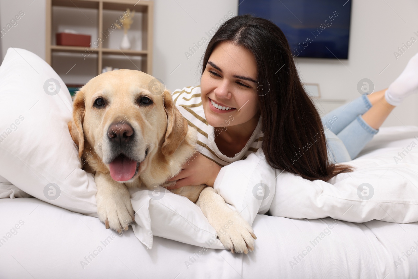 Photo of Happy woman with cute Labrador Retriever on bed at home