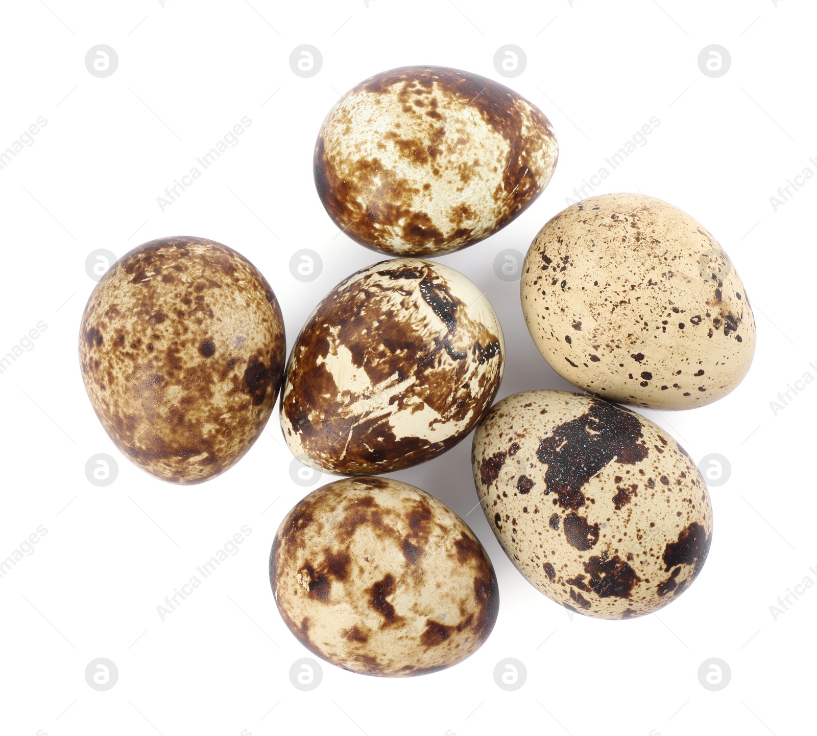 Photo of Many speckled quail eggs on white background, top view