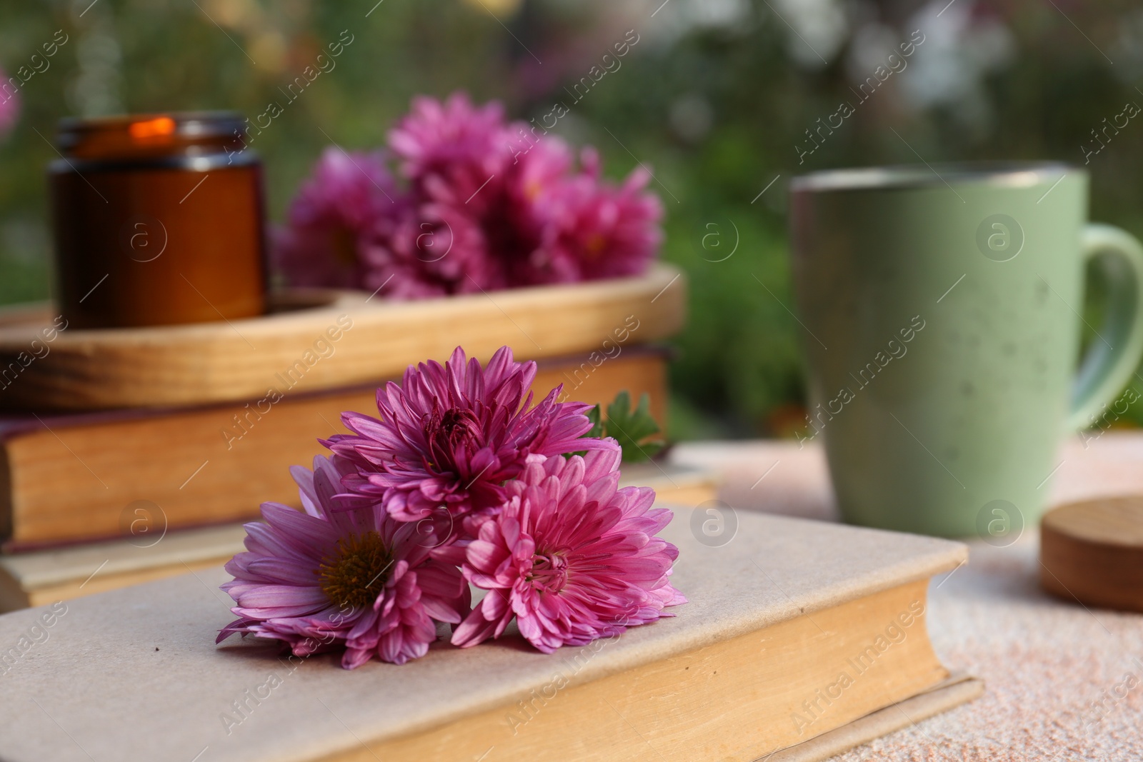 Photo of Book with chrysanthemum flowers as bookmark on beige textured table, closeup