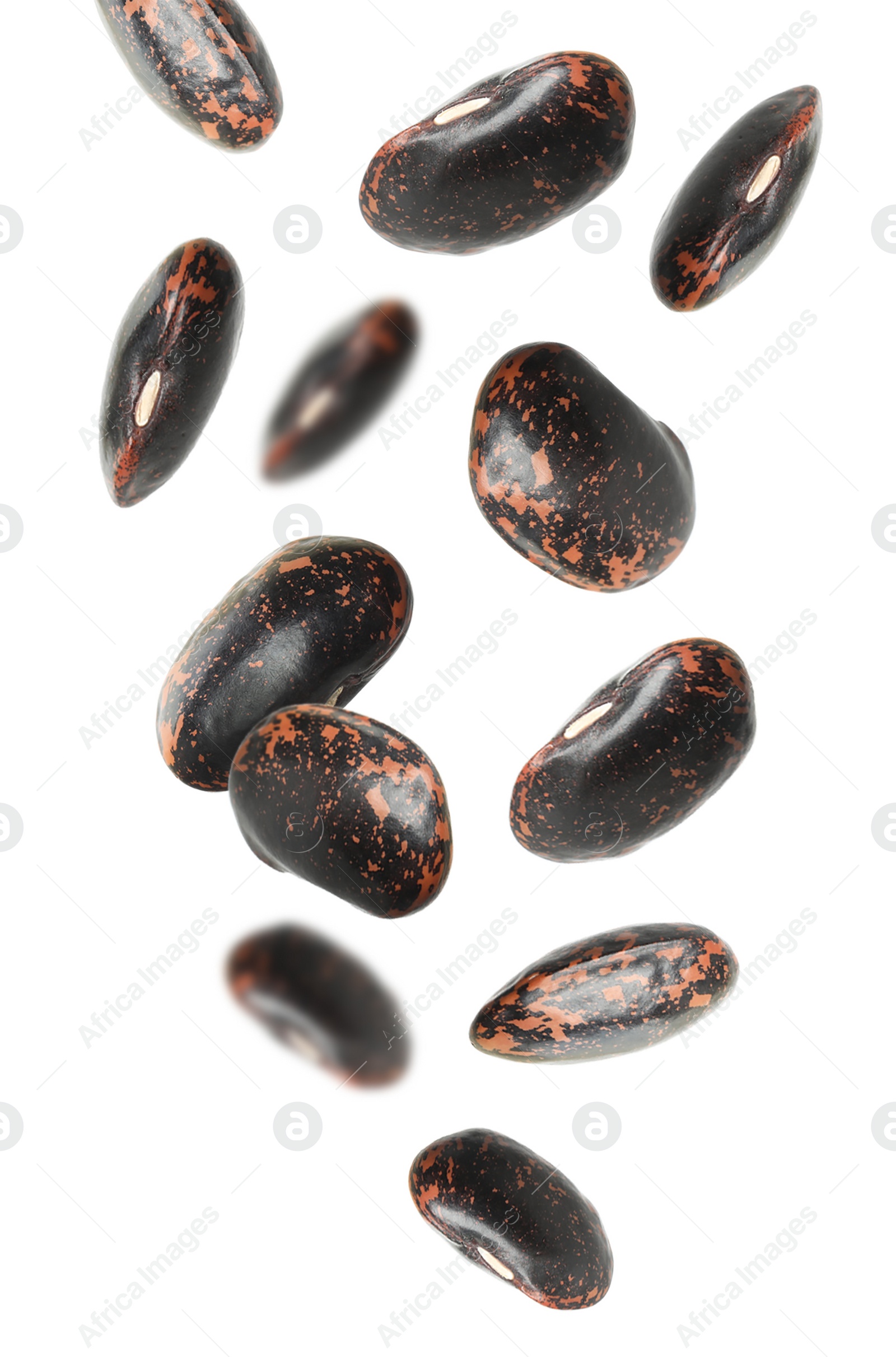 Image of Many black beans falling on white background. Vegan diet 