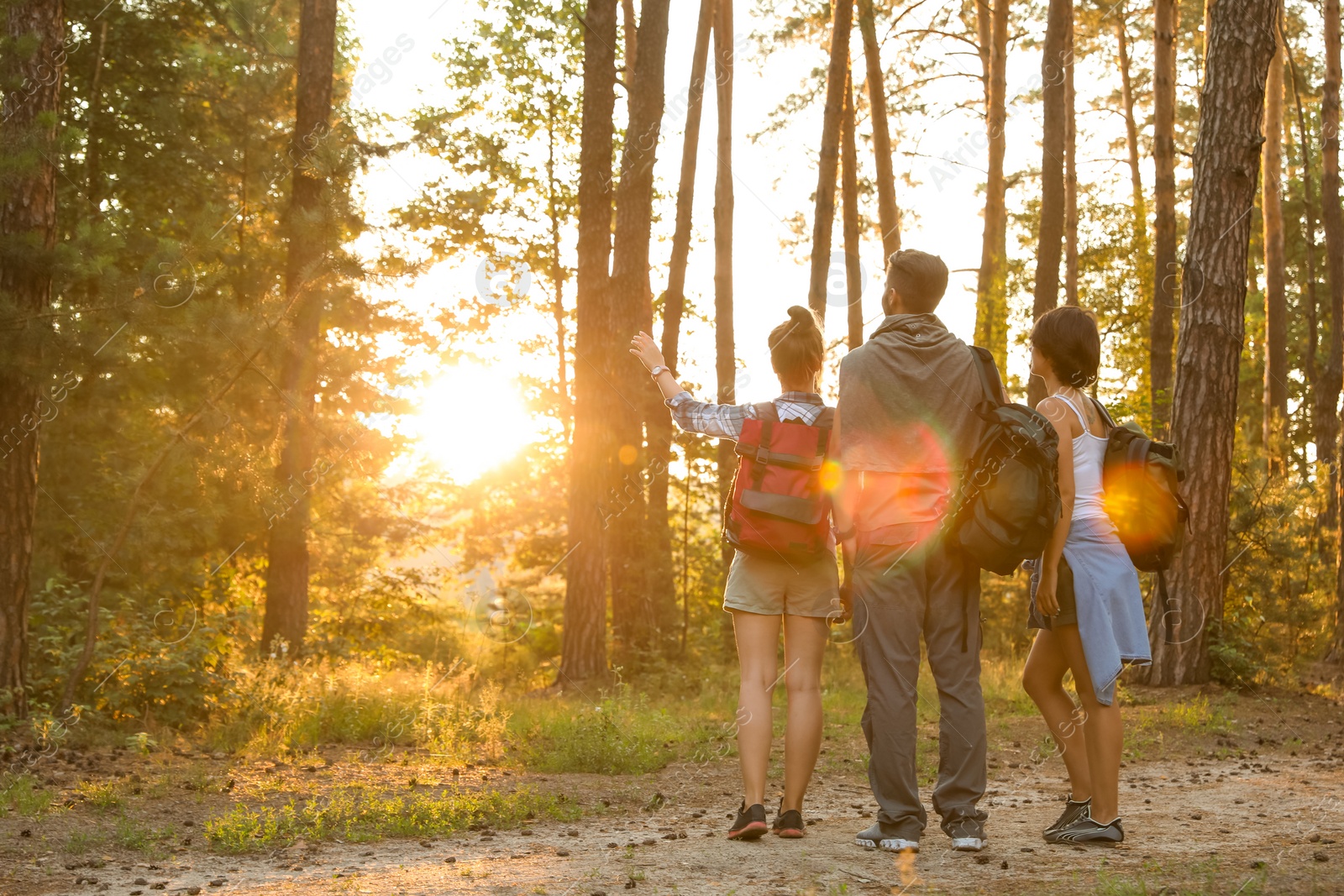 Photo of Young friends in forest on summer day. Camping season