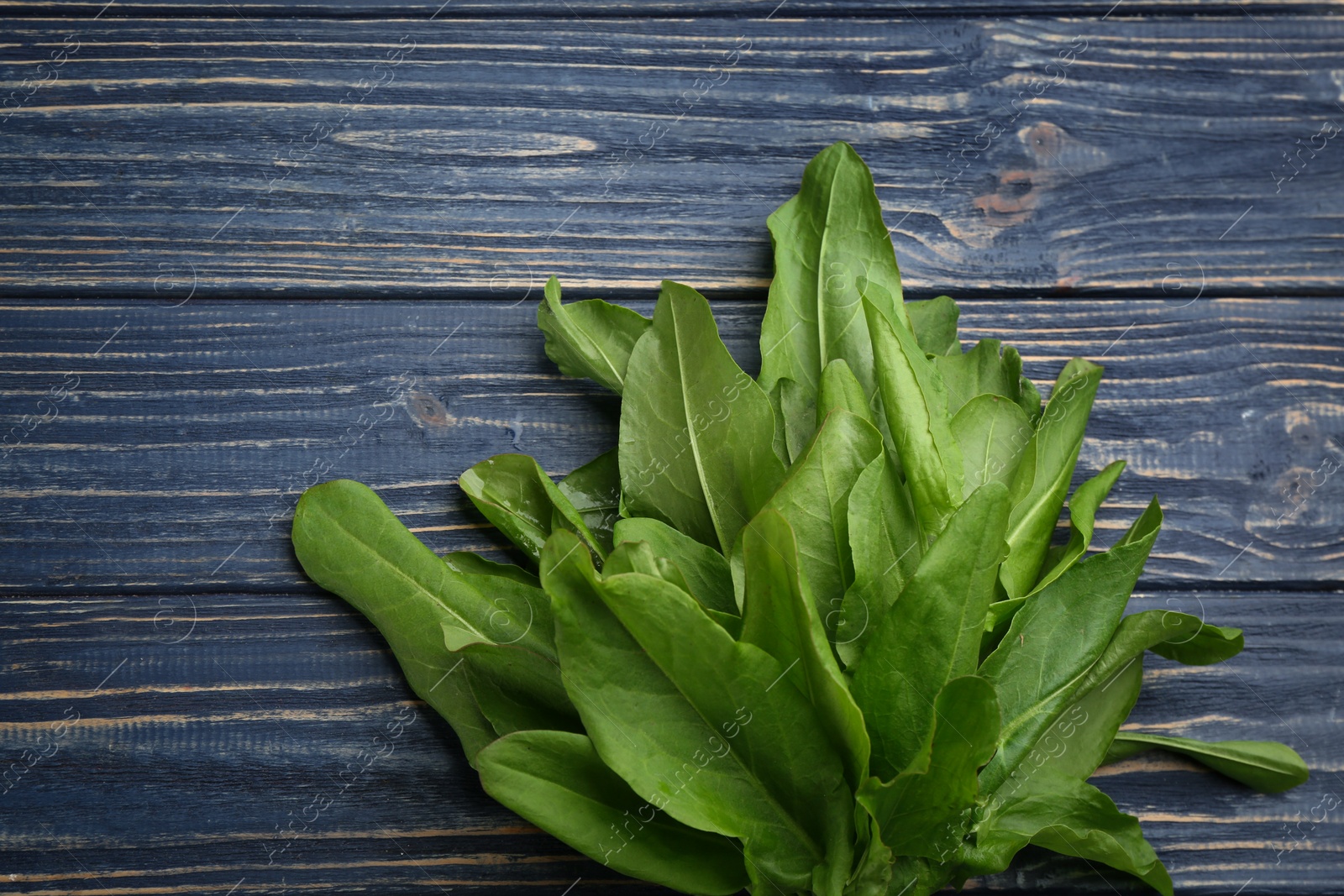 Photo of Fresh green sorrel leaves on blue wooden table, top view