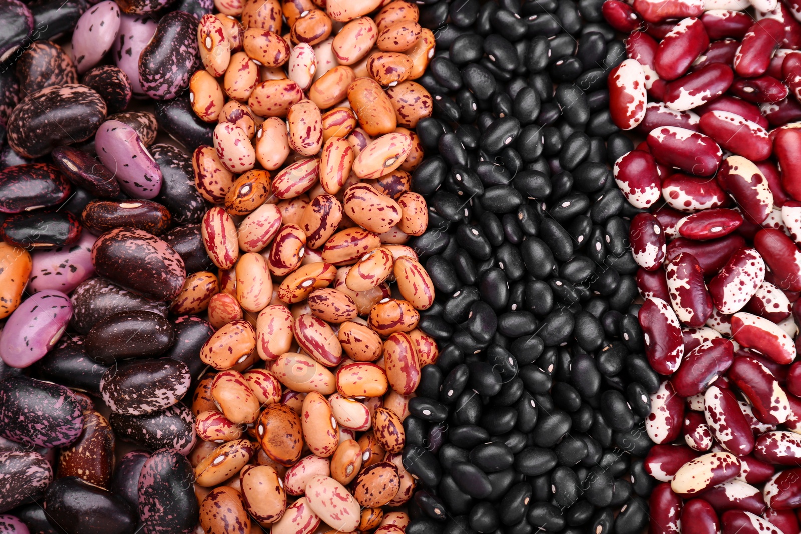 Photo of Different kinds of beans as background, closeup