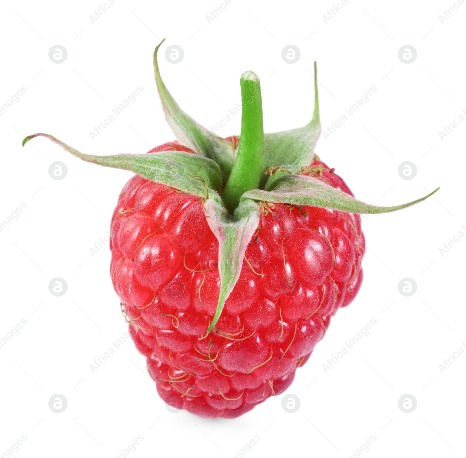 Photo of One tasty ripe raspberry isolated on white