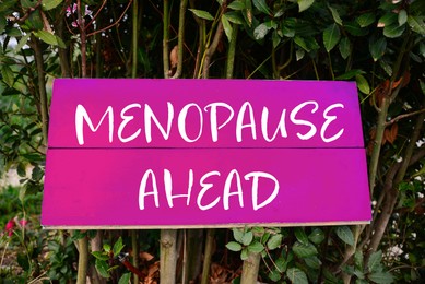 Image of Concept of impending climacteric. Green bush with sign MENOPAUSE AHEAD outdoors