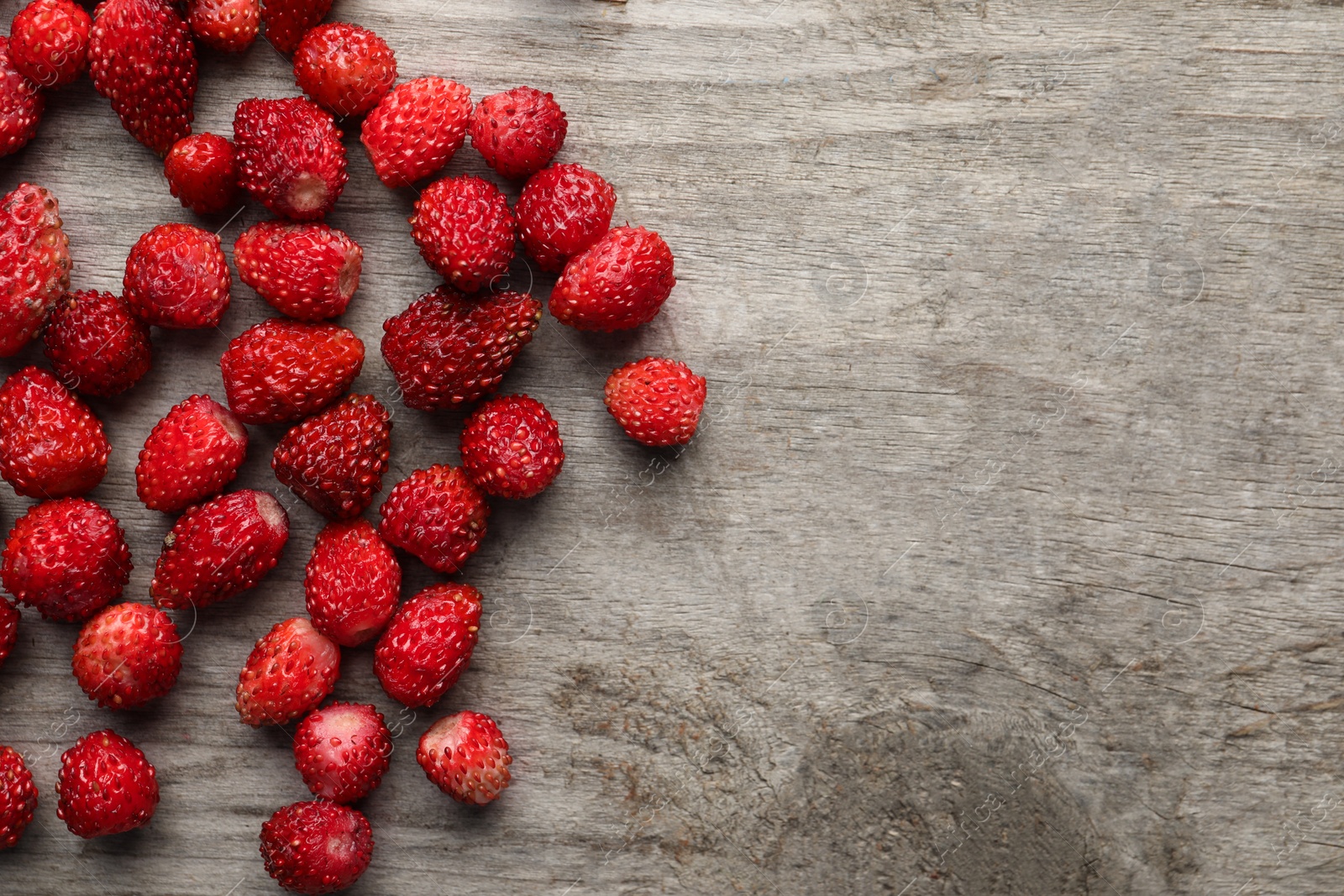 Photo of Many fresh wild strawberries on wooden table, flat lay. Space for text