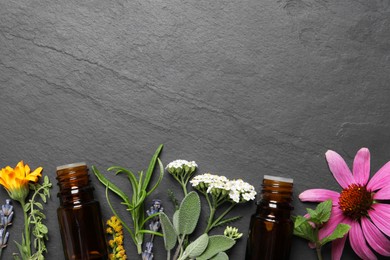 Bottles of essential oils, different herbs and flowers on black table, flat lay. Space for text