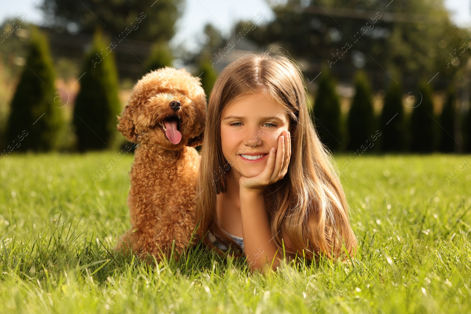 Photo of Beautiful girl with cute Maltipoo dog on green lawn in park