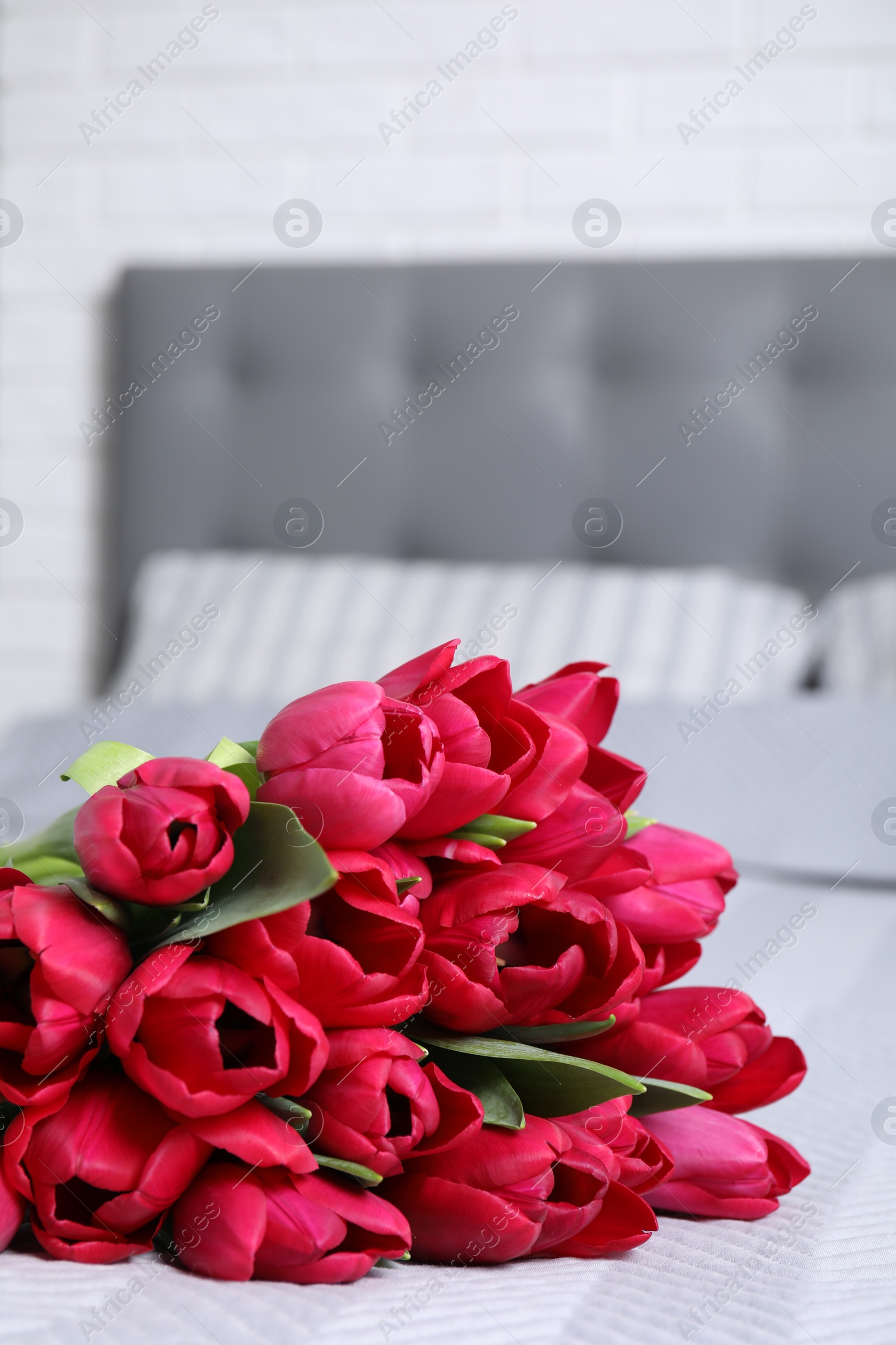 Photo of Many beautiful tulips on bed at home