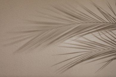 Shadows of tropical palm branches on light wall