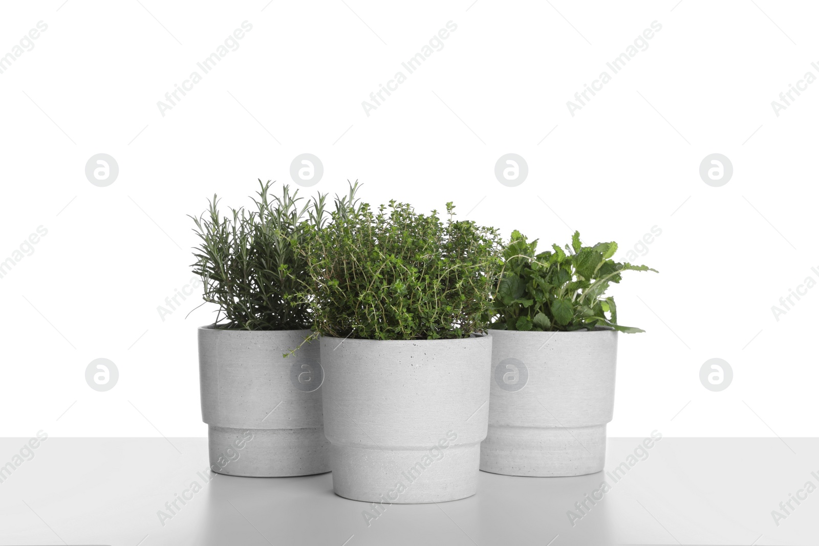 Photo of Pots with thyme, mint and rosemary on white background