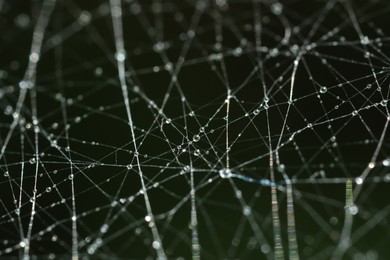 Photo of Cobweb with water drops on dark background. Macro photography