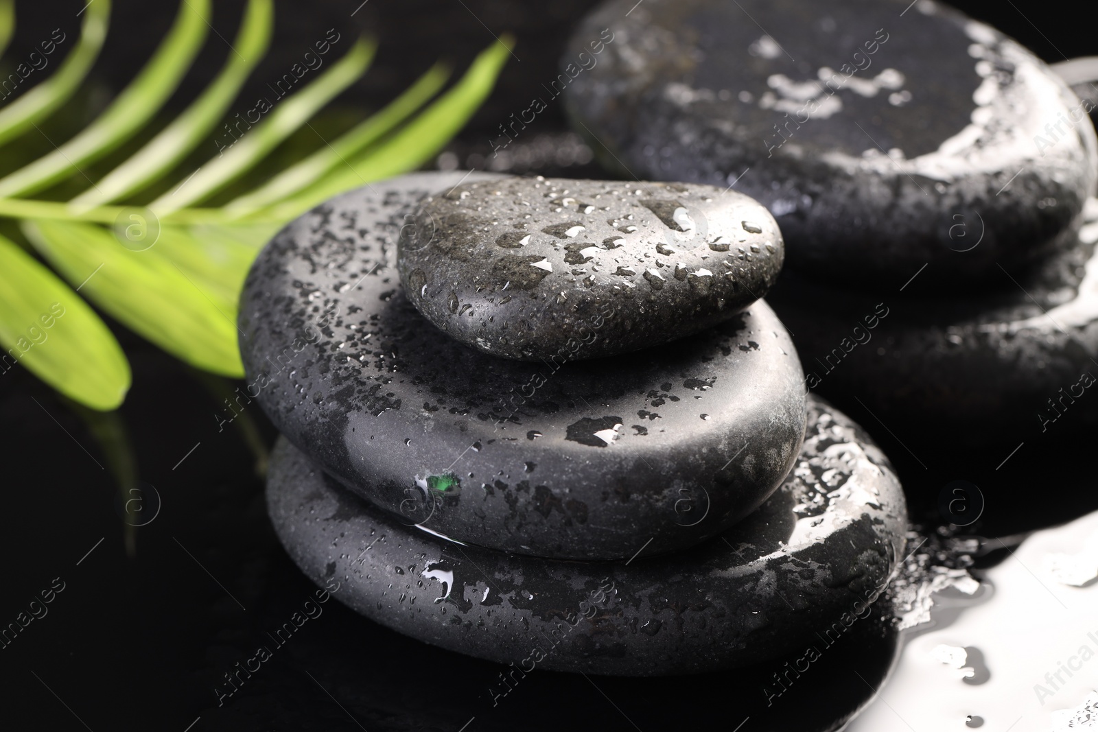 Photo of Wet spa stones and palm leaves in water on light background, closeup