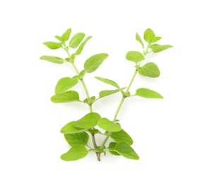 Photo of Sprig of fresh green oregano isolated on white, top view