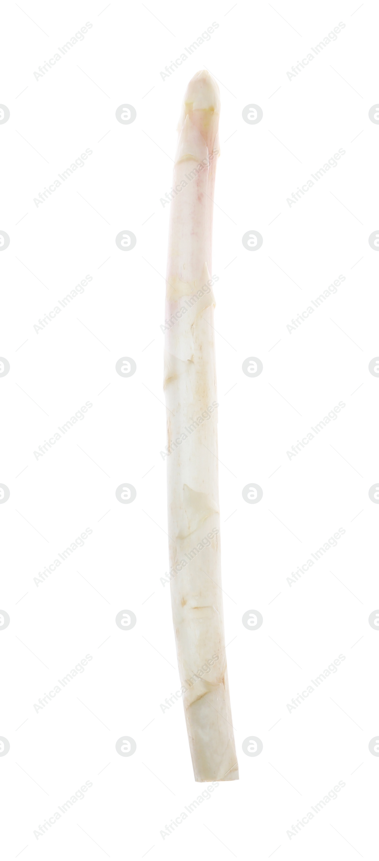 Photo of Fresh ripe raw asparagus isolated on white