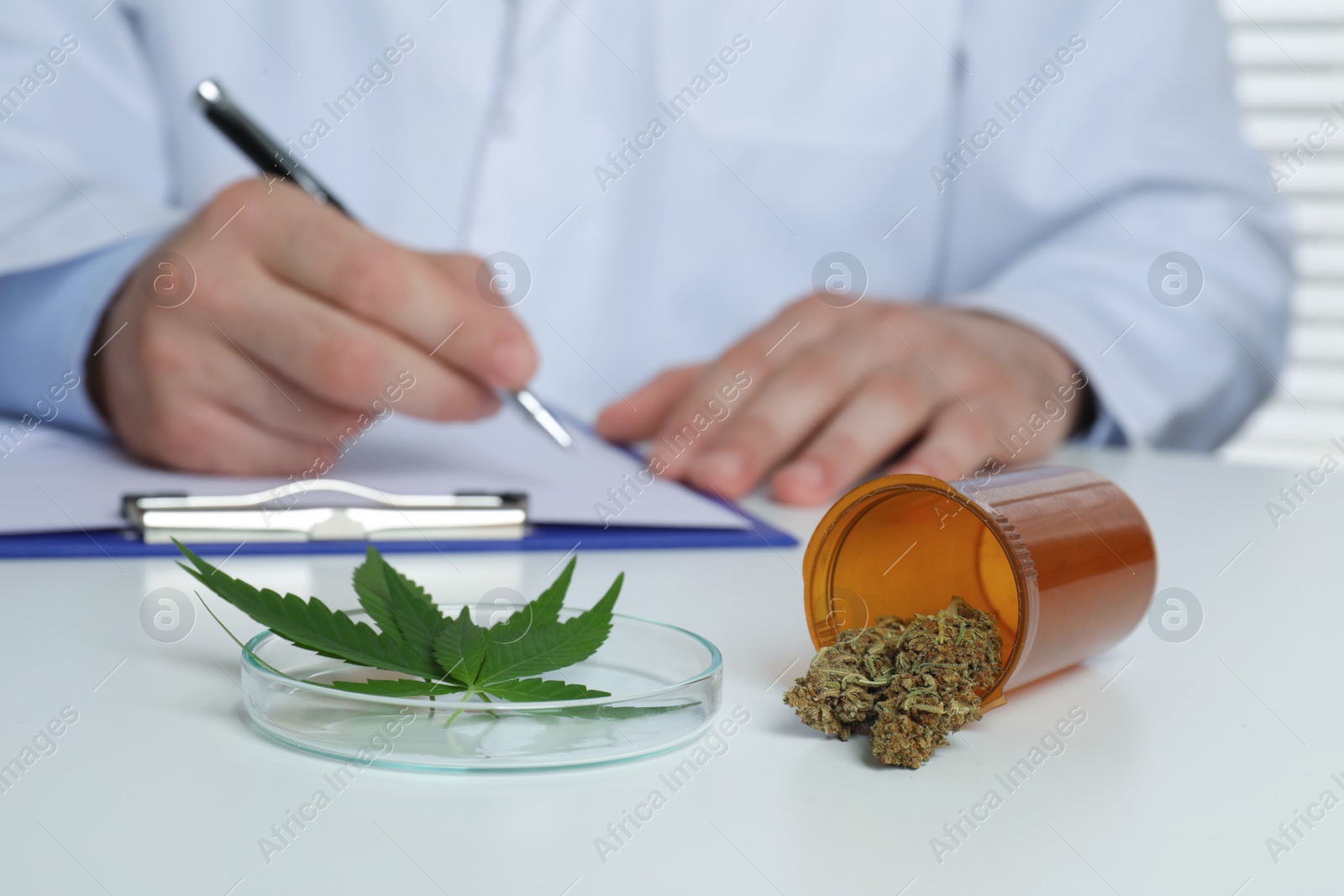 Photo of Doctor writing at table, focus on medical hemp