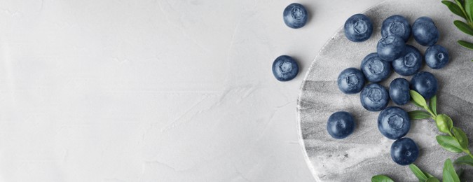 Image of Tasty fresh blueberries on light table, flat lay with space for text. Banner design