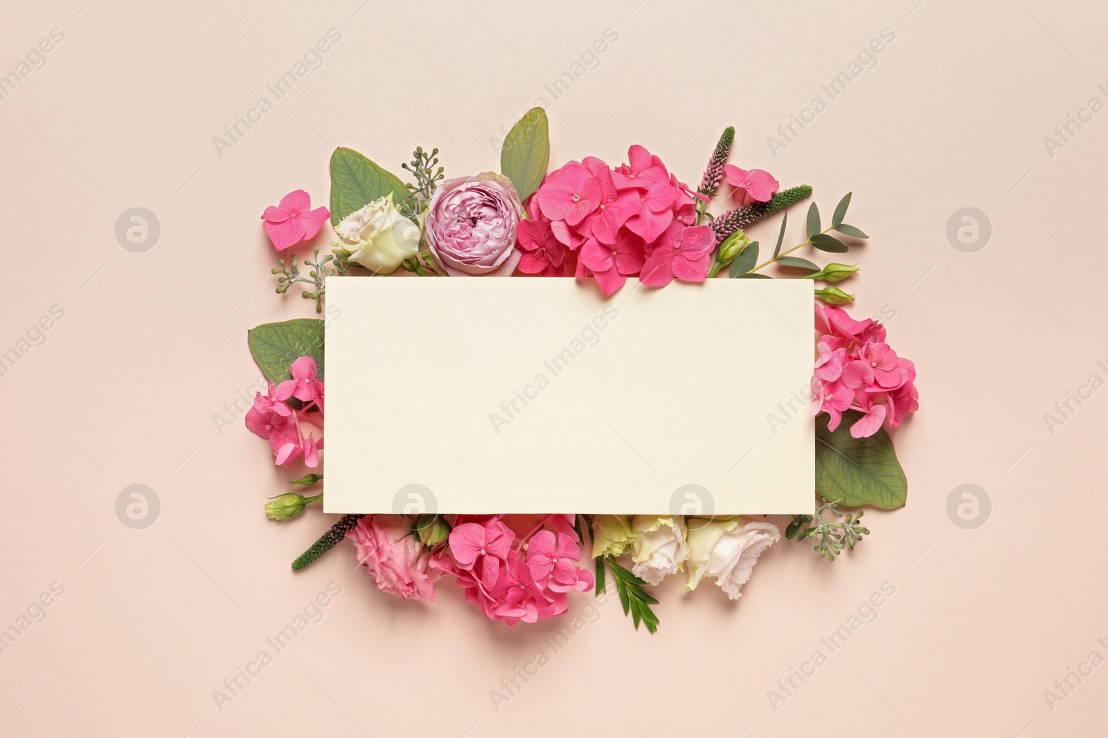 Photo of Beautiful composition with hortensia flowers and blank card on beige background, top view. Space for text