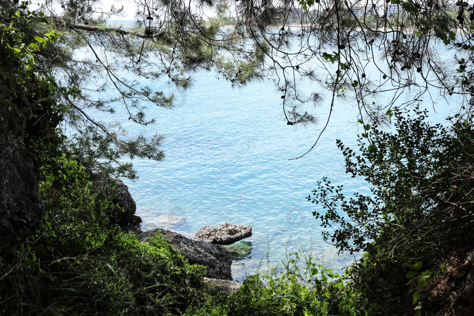 Photo of Beautiful view of rocky coast on sunny summer day