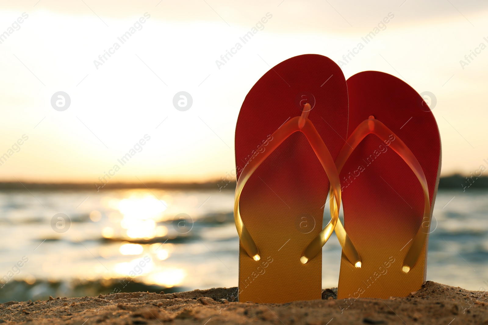 Photo of Stylish flip flops on sand near sea, space for text. Beach accessories