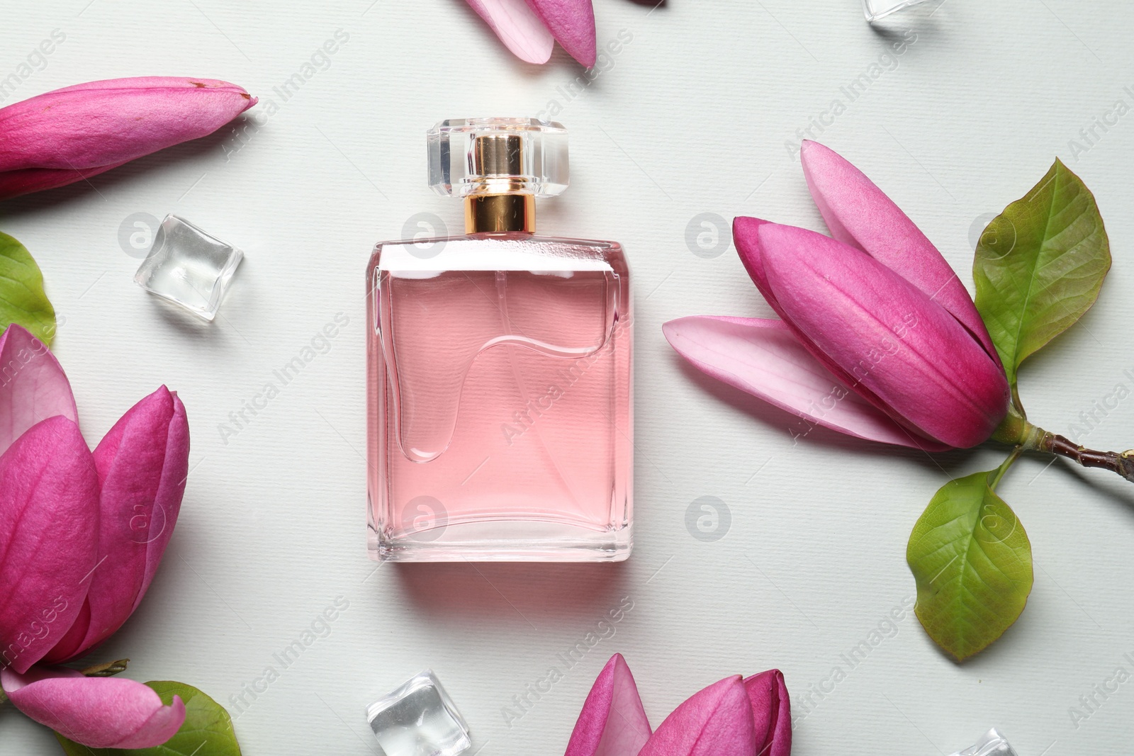 Photo of Beautiful pink magnolia flowers, bottle of perfume and ice cubes on light grey background, flat lay