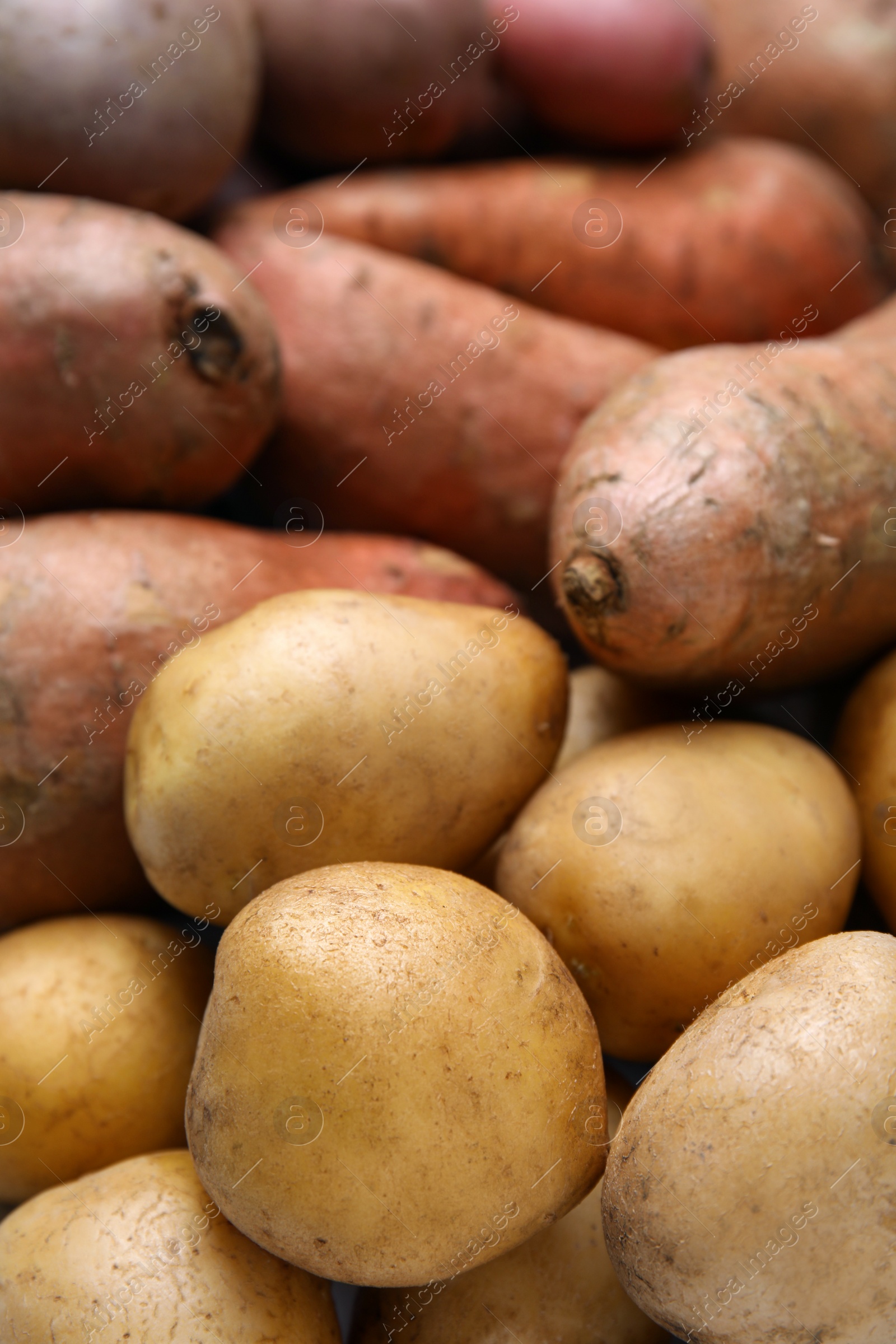 Photo of Different types of fresh potatoes, closeup view