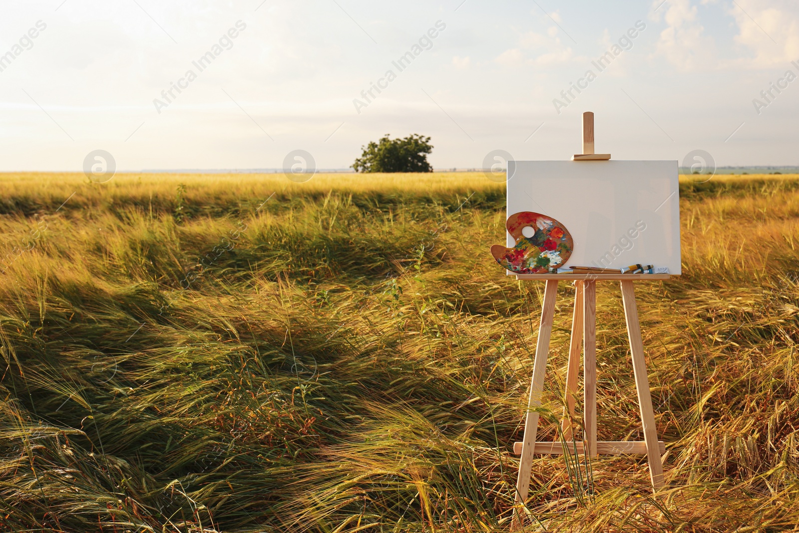 Photo of Wooden easel with blank canvas and painting equipment in field. Space for text