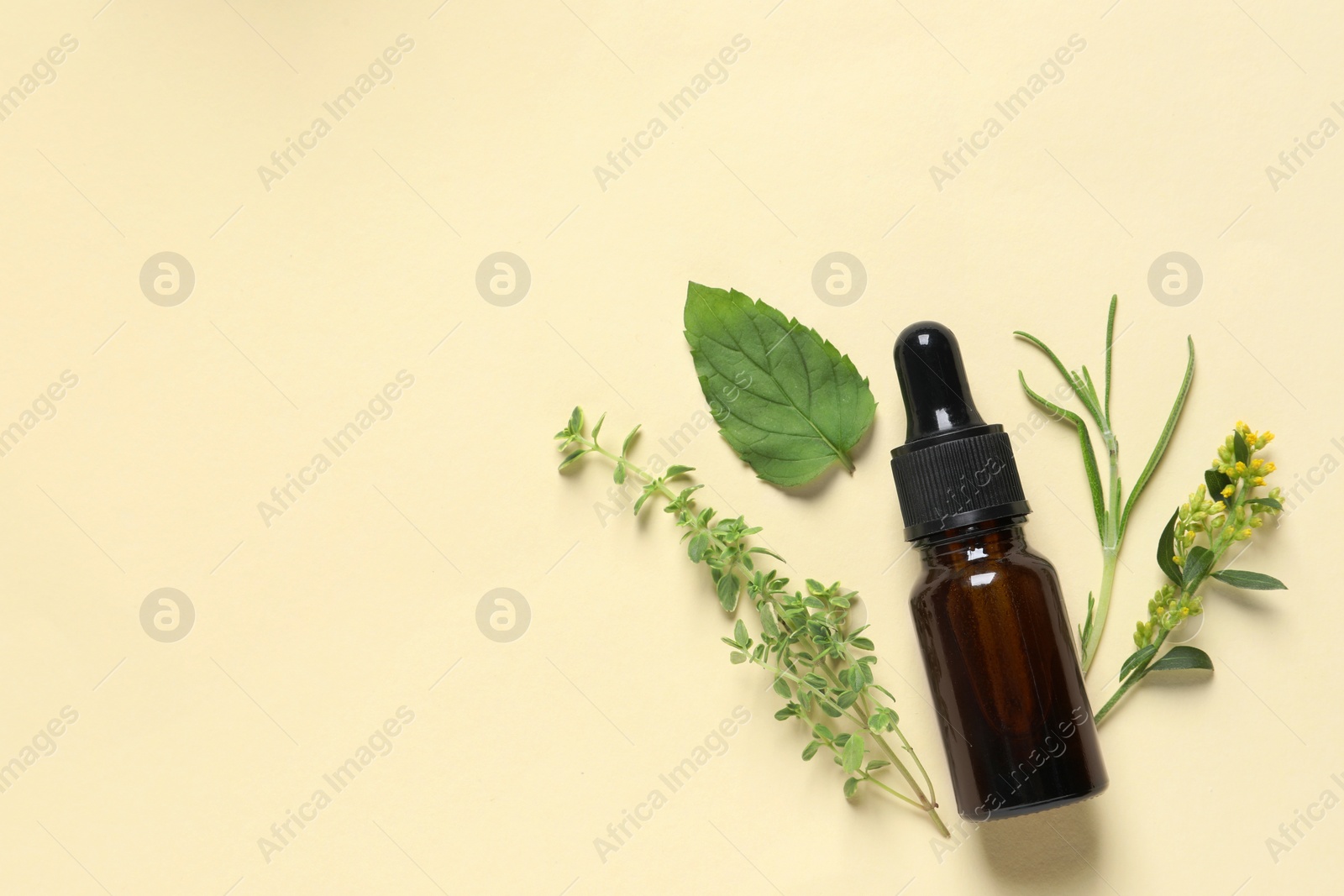 Photo of Bottle of essential oil and different herbs on beige background, flat lay