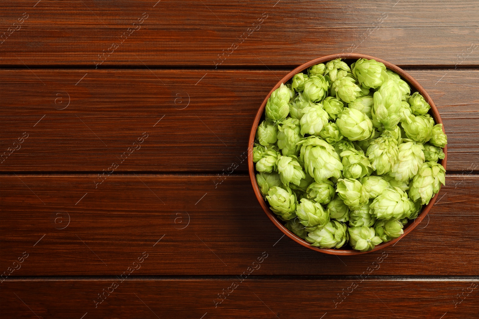 Photo of Bowl with fresh green hops on wooden table, top view. Space for text