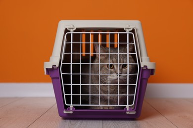 Photo of Travel with pet. Cute cat in carrier on floor near orange wall indoors