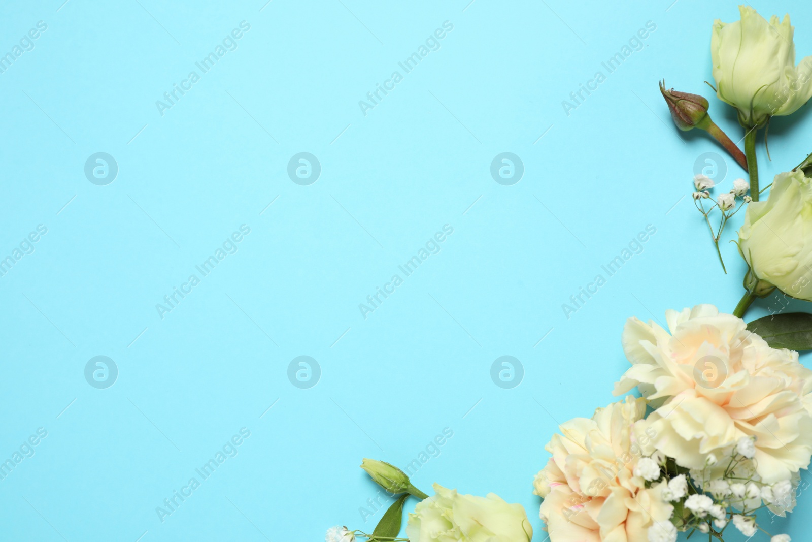 Photo of Floral composition with beautiful flowers on light blue background, flat lay. Space for text