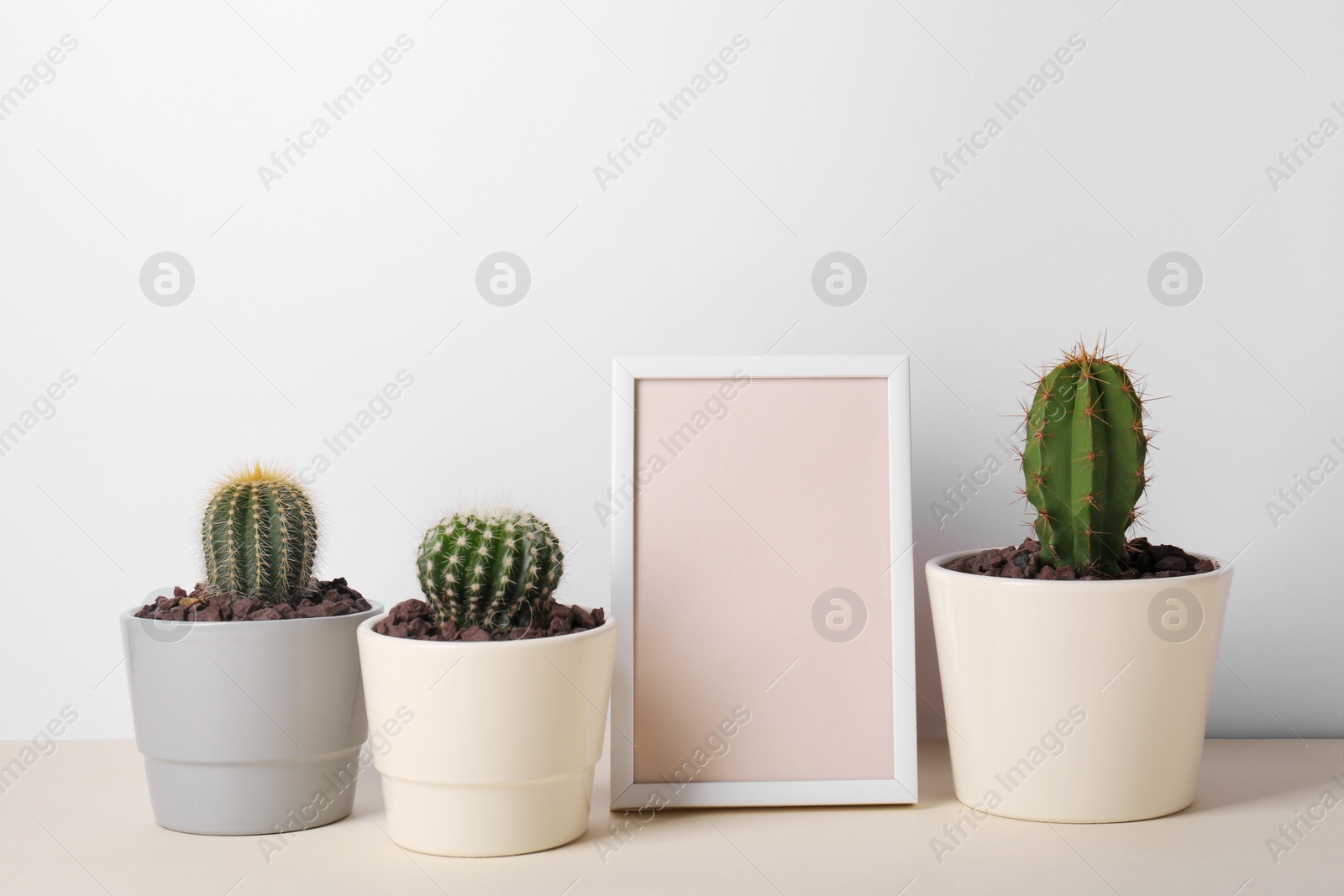 Photo of Different cacti in pots and empty frame on beige table