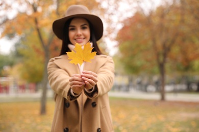 Young woman in stylish clothes, focus on yellow leaf. Autumn look