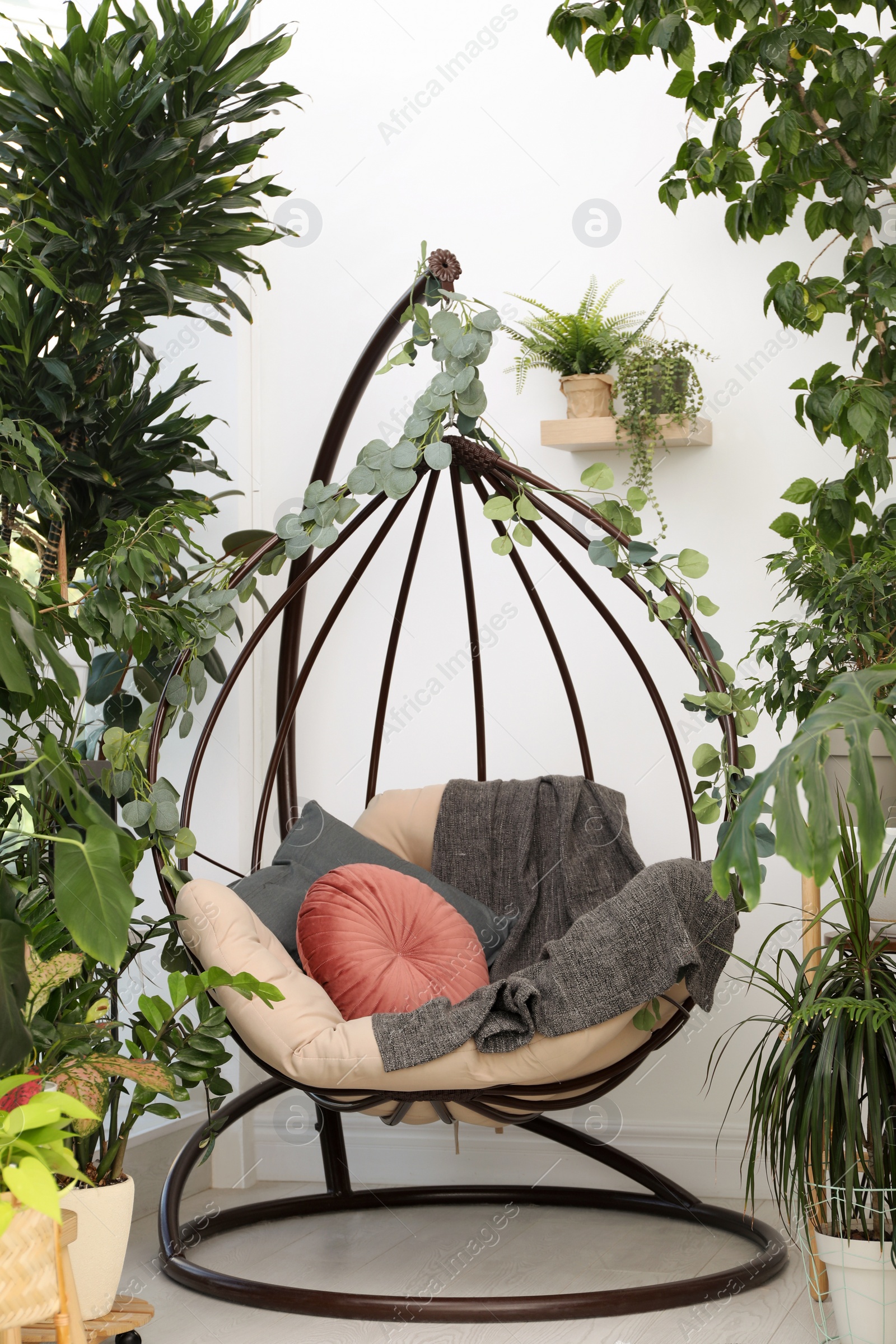 Photo of Comfortable egg chair and beautiful houseplants in room. Lounge zone interior