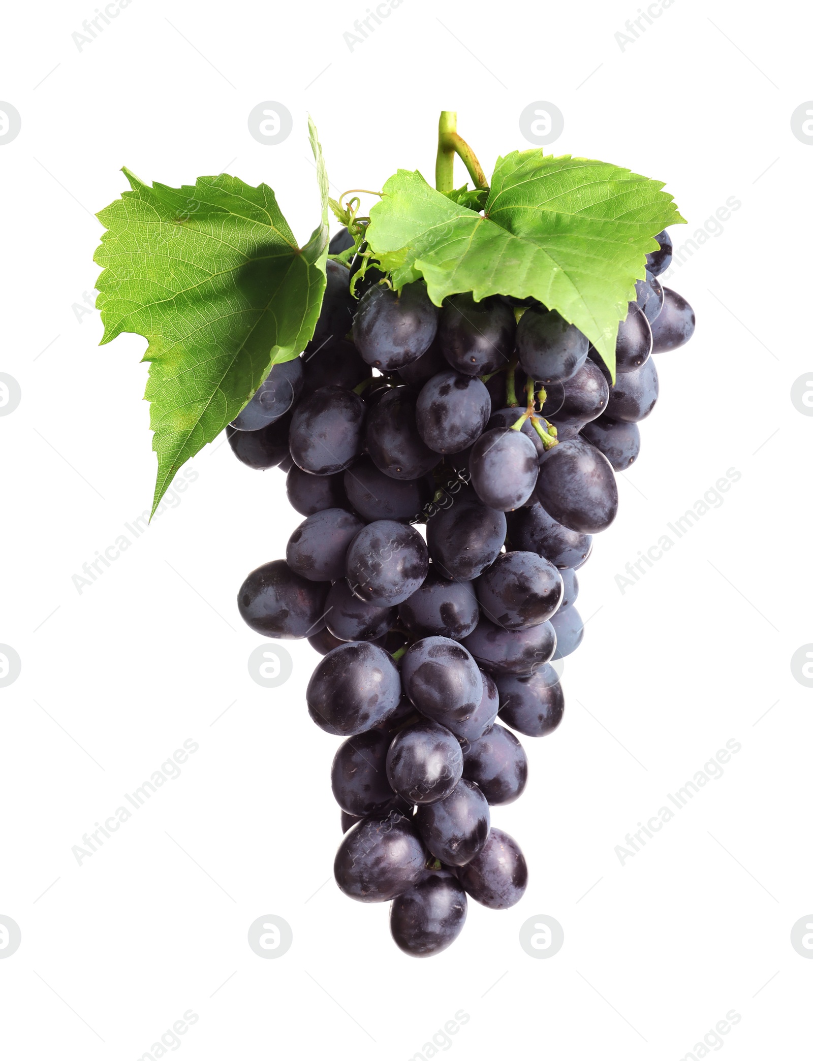 Photo of Bunch of fresh ripe juicy grapes isolated on white