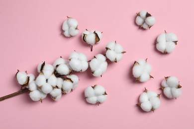 Photo of Branch with cotton flowers on pink background, top view