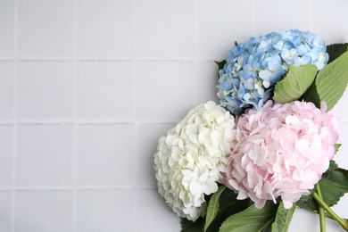 Photo of Beautiful hydrangea flowers on white tiled background, top view. Space for text