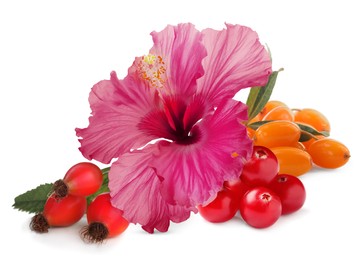 Image of Beautiful hibiscus flower and different ripe berries on white background