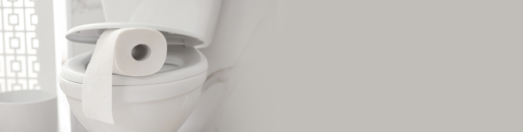 Paper roll on toilet bowl in bathroom, space for text. Banner design