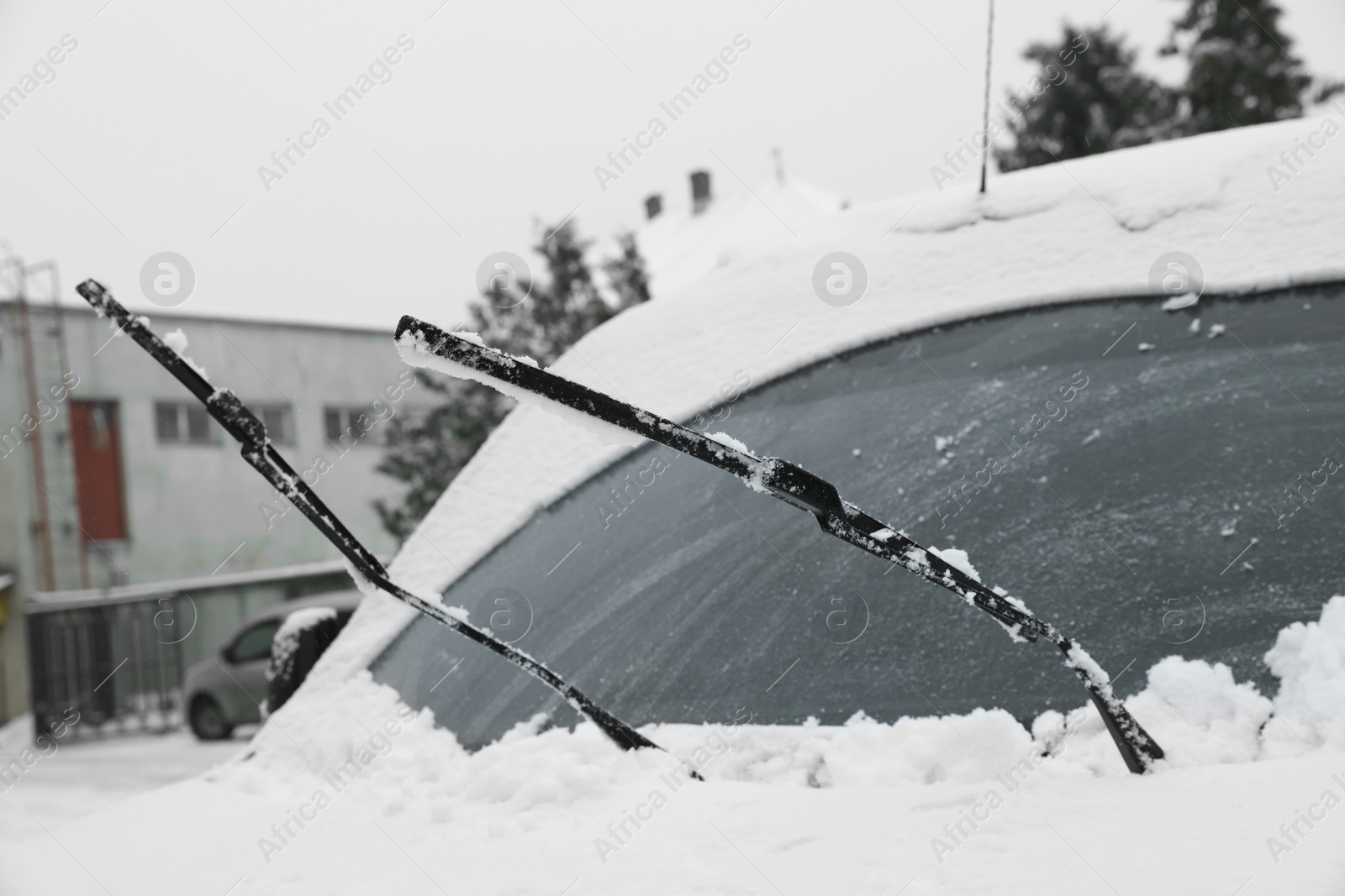 Photo of Car windshield with wiper blades cleaned from snow outdoors on winter day