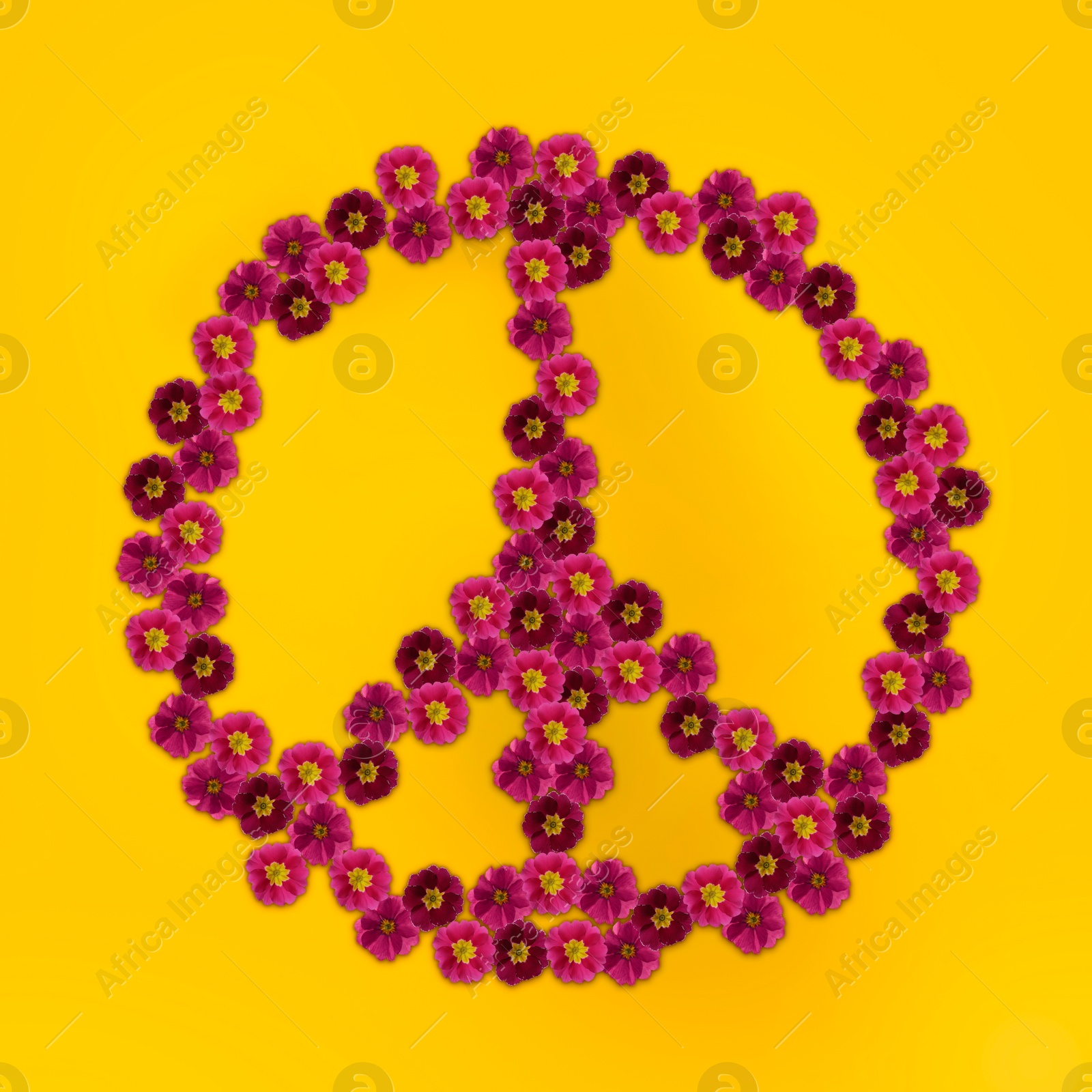 Image of Hippie peace symbol made of primula flowers on yellow background