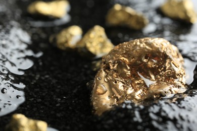 Photo of Shiny gold nuggets on wet stones, closeup