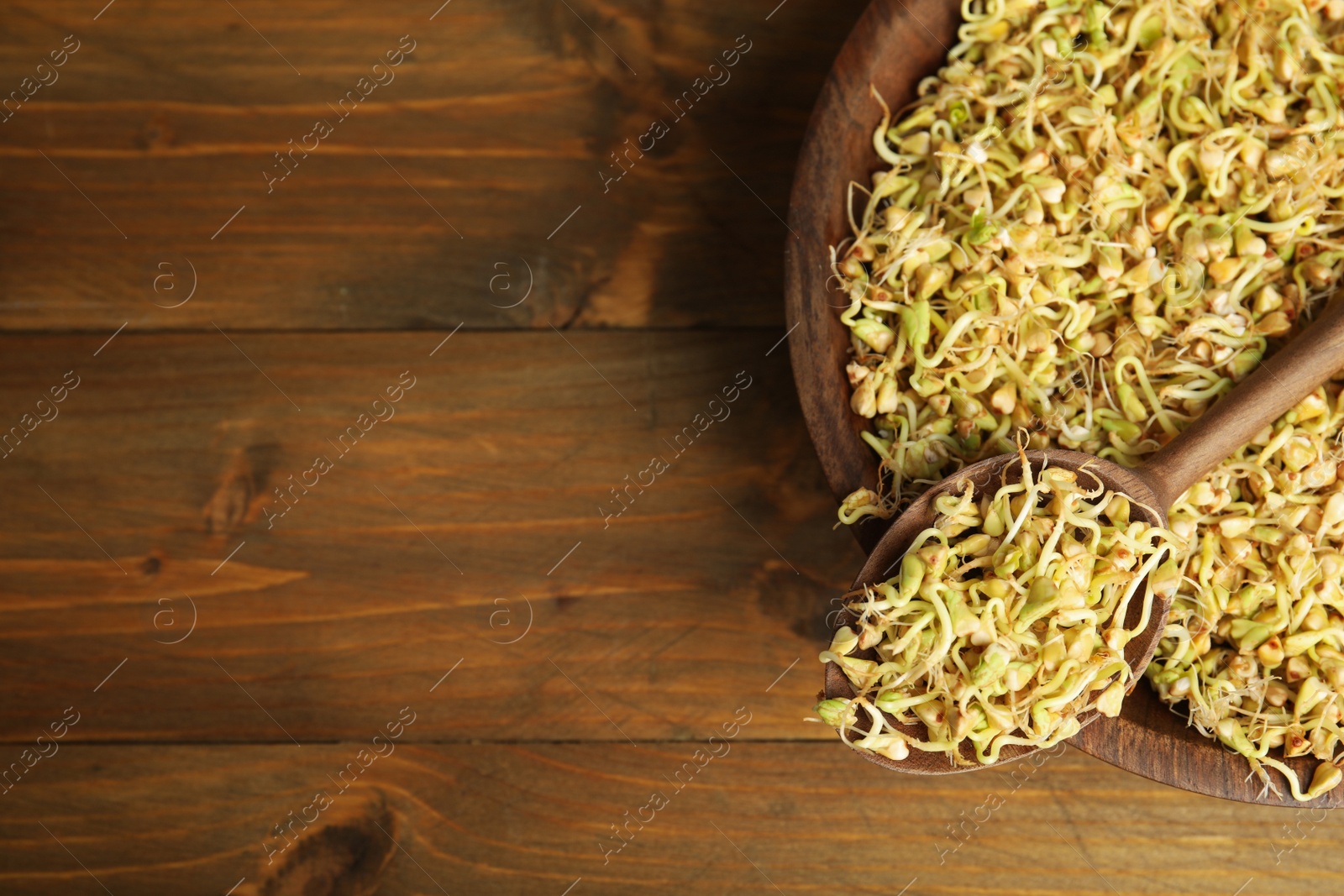 Photo of Spoon and plate with sprouted green buckwheat on wooden table, top view. Space for text