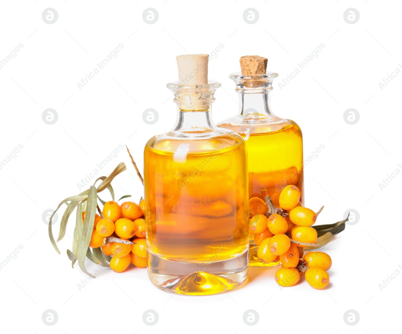 Photo of Natural sea buckthorn oil and fresh berries on white background