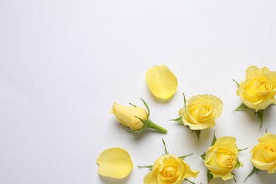 Beautiful yellow roses and petals on white background, flat lay. Space for text