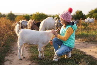 Photo of Farm animal. Cute little girl petting goatling on pasture