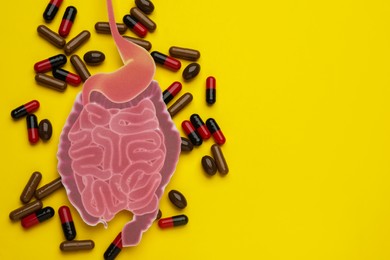 Paper cutout of small intestine and pills on yellow background, flat lay. Space for text